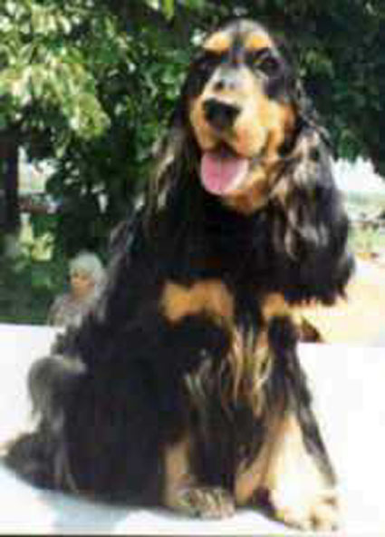 Mr.T. du Domaine de Makno