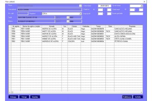 Program pentru registre genealogice